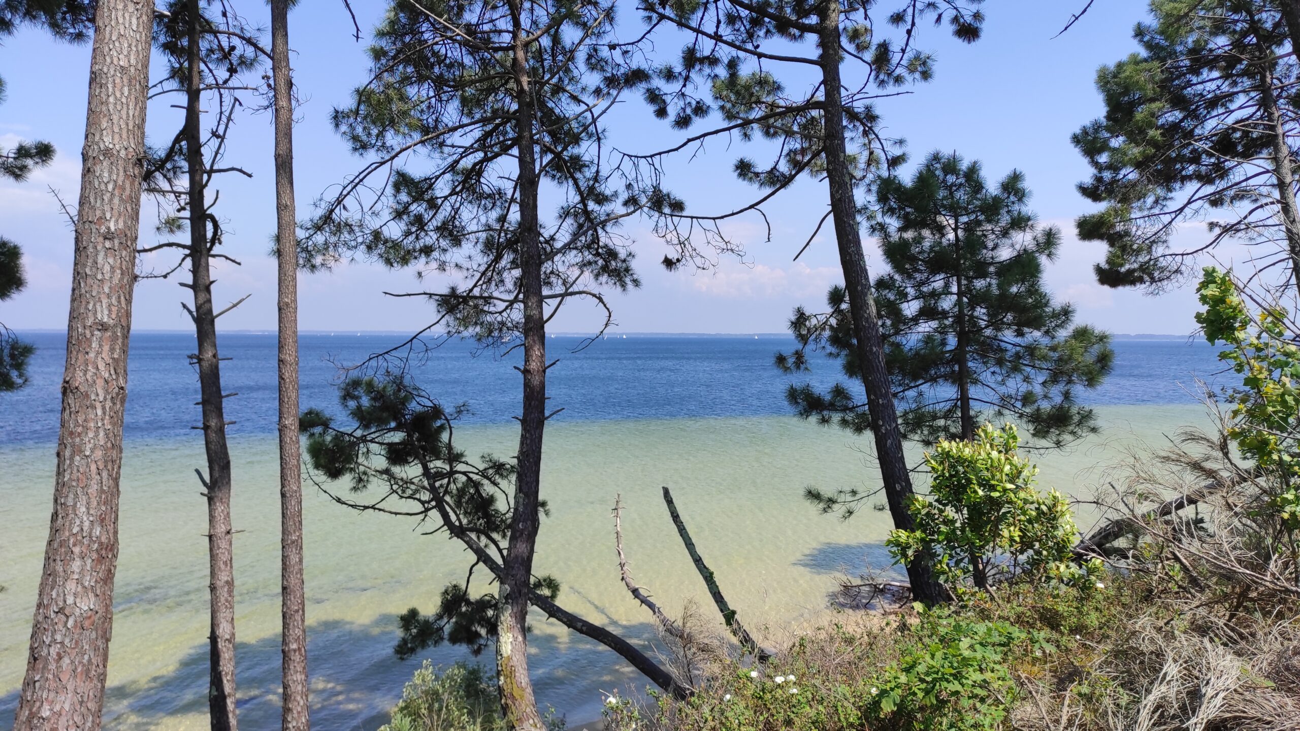 Le lac de Cazaux est une grande étendue d'eau douce où la forêt de pins descend doucement sur la plage.